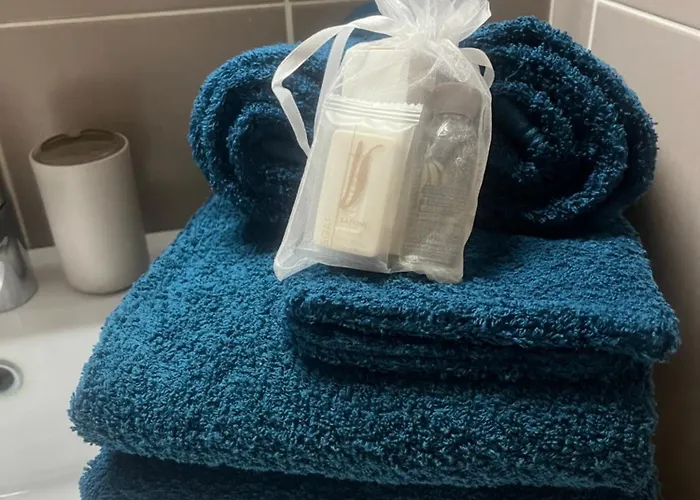 Appartement Piscine Climatisation Tennis Nice