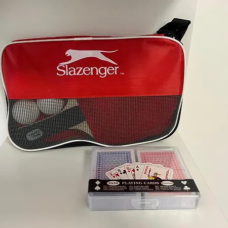 Daire Piscine Climatisation Tennis Nice